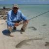 black tip