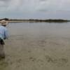 Jim Dowd casting to tailers