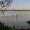 Jim casting to tailers in fron tof the lodge